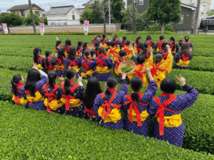 宮野園の狭山茶と日本茶体験を紹介するアイキャッチ