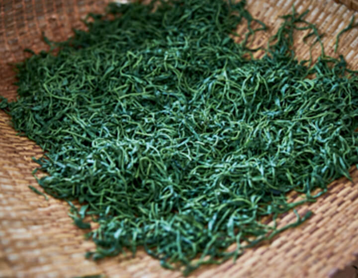 竹ざるに広げられた緑色の茶葉