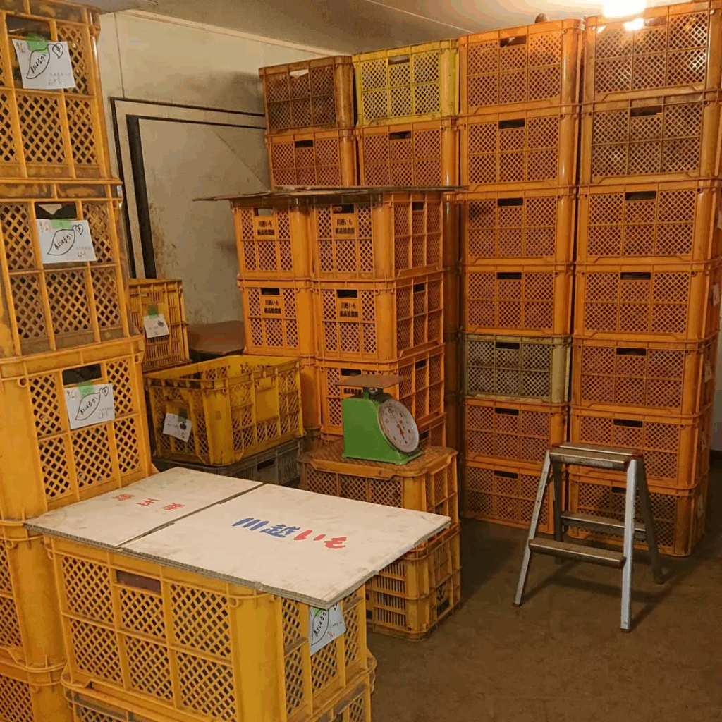 収穫用コンテナが積まれた屋内作業場