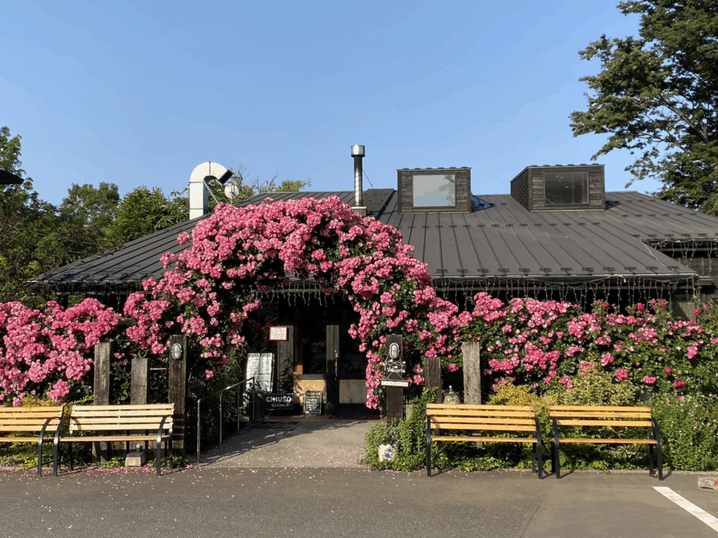 ピンク色のバラに囲まれた建物の入口